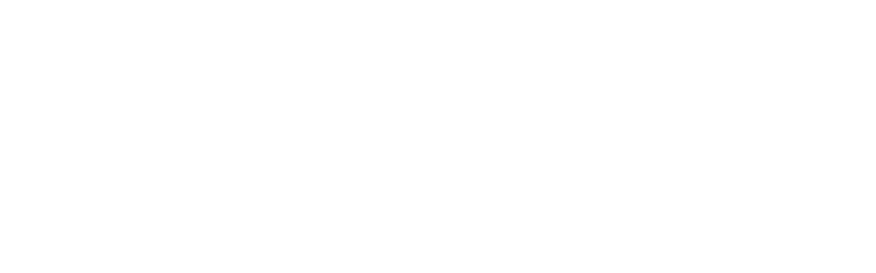 Shinichi Narita M&A and Immigration Service