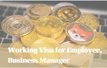 Working Visa for an Employee,Business Manager Visa in Japan