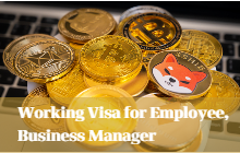 Working Visa for an Employee,Business Manager Visa in Japan