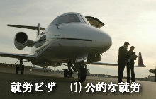 就労ビザ公的な任務