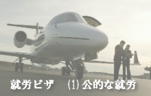 就労ビザ公的な任務